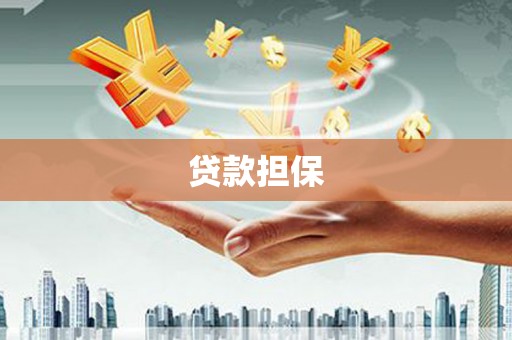 滨海贷款担保