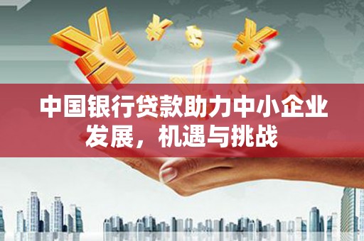 滨海中国银行贷款助力中小企业发展，机遇与挑战