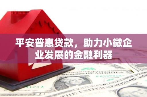 滨海平安普惠贷款，助力小微企业发展的金融利器