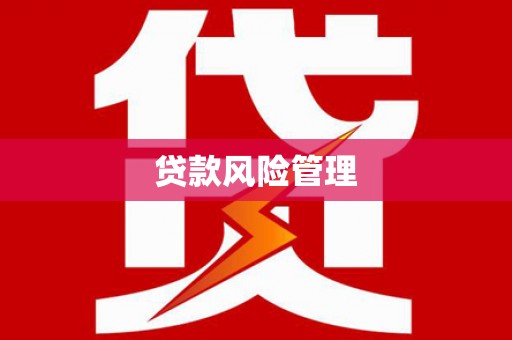 滨海贷款风险管理