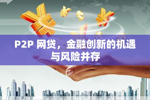 滨海P2P 网贷，金融创新的机遇与风险并存