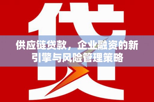 滨海供应链贷款，企业融资的新引擎与风险管理策略