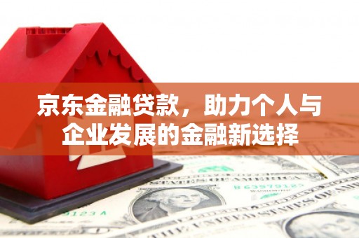 滨海京东金融贷款，助力个人与企业发展的金融新选择
