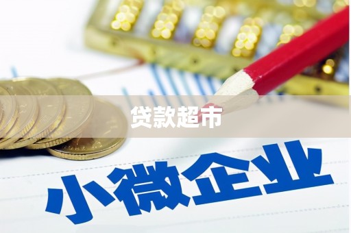 滨海贷款超市
