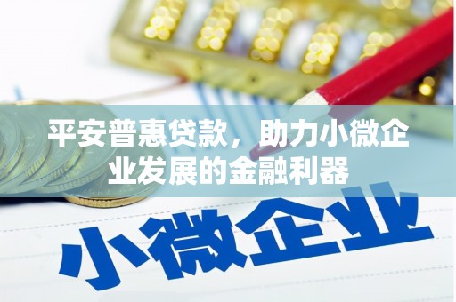 滨海平安普惠贷款，助力小微企业发展的金融利器