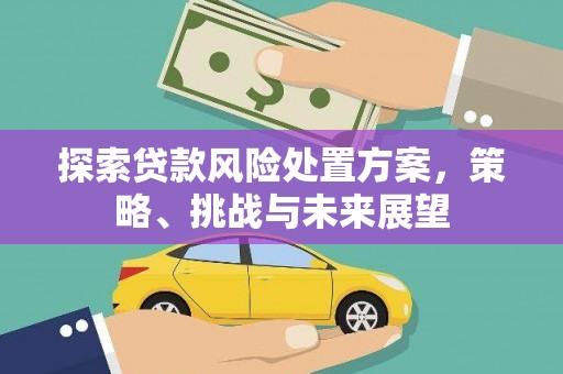 滨海探索贷款风险处置方案，策略、挑战与未来展望