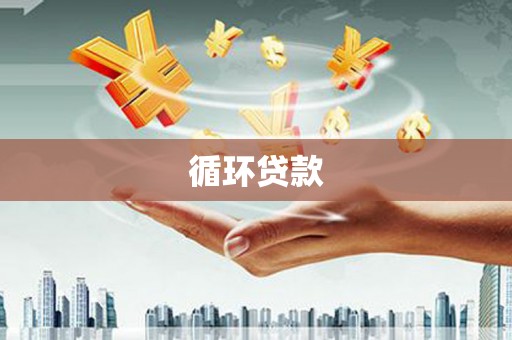滨海循环贷款