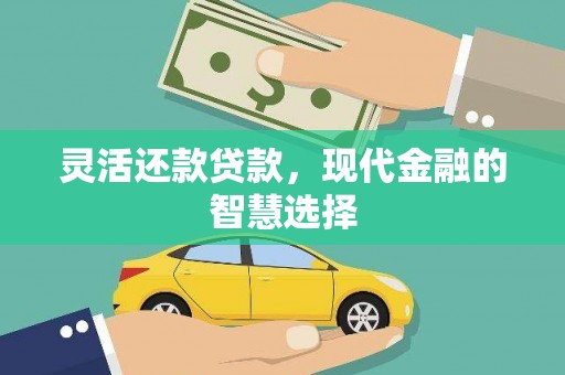 滨海灵活还款贷款，现代金融的智慧选择