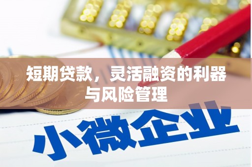 滨海短期贷款，灵活融资的利器与风险管理