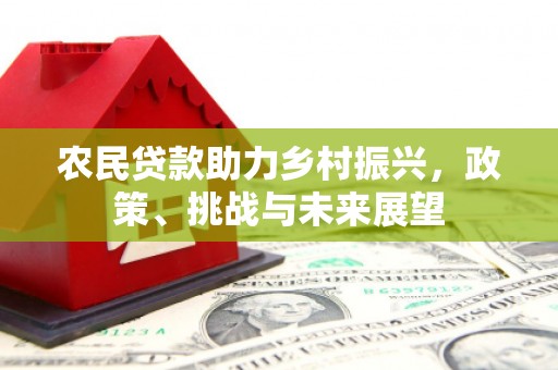 滨海农民贷款助力乡村振兴，政策、挑战与未来展望