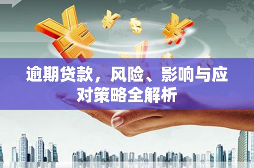 滨海逾期贷款，风险、影响与应对策略全解析