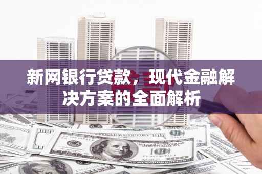 滨海新网银行贷款，现代金融解决方案的全面解析