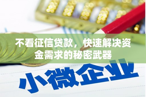 滨海不看征信贷款，快速解决资金需求的秘密武器