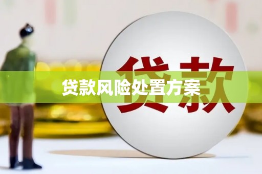 滨海贷款风险处置方案