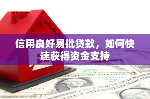 滨海信用良好易批贷款，如何快速获得资金支持
