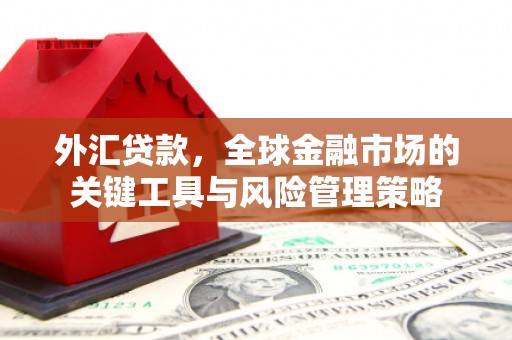 滨海外汇贷款，全球金融市场的关键工具与风险管理策略
