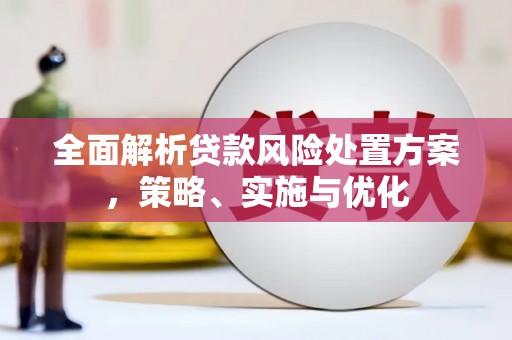 滨海全面解析贷款风险处置方案，策略、实施与优化