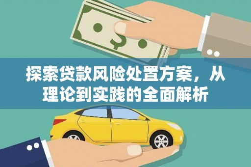滨海探索贷款风险处置方案，从理论到实践的全面解析