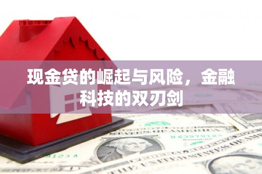 滨海现金贷的崛起与风险，金融科技的双刃剑