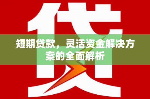 滨海短期贷款，灵活资金解决方案的全面解析