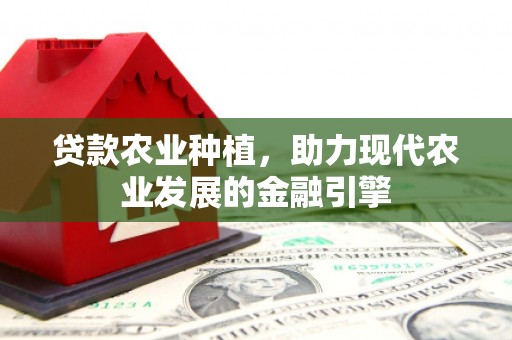 滨海贷款农业种植，助力现代农业发展的金融引擎