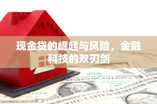 滨海现金贷的崛起与风险，金融科技的双刃剑
