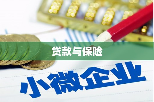 滨海贷款与保险