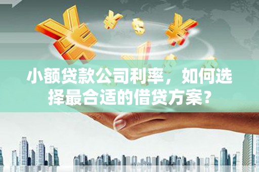 滨海小额贷款公司利率，如何选择最合适的借贷方案？