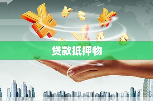 滨海贷款抵押物