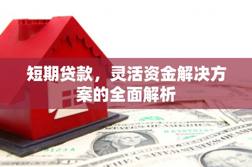 滨海短期贷款，灵活资金解决方案的全面解析