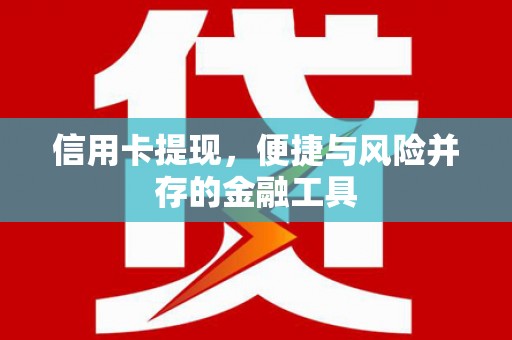 滨海信用卡提现，便捷与风险并存的金融工具