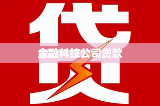 滨海金融科技公司贷款
