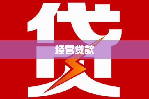 滨海经营贷款