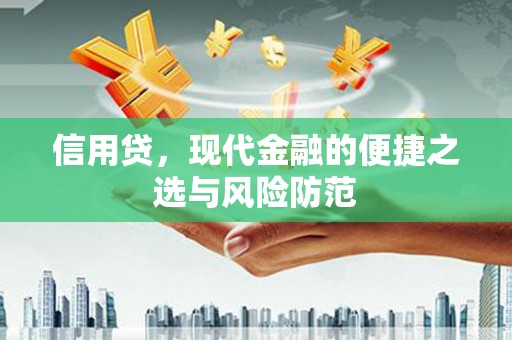滨海信用贷，现代金融的便捷之选与风险防范