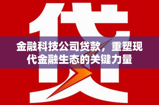 滨海金融科技公司贷款，重塑现代金融生态的关键力量