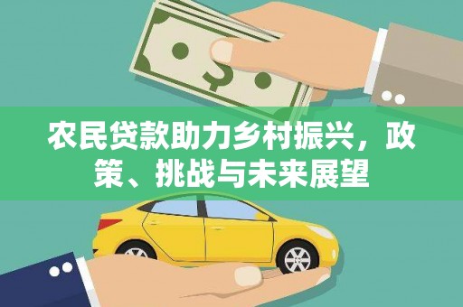 滨海农民贷款助力乡村振兴，政策、挑战与未来展望