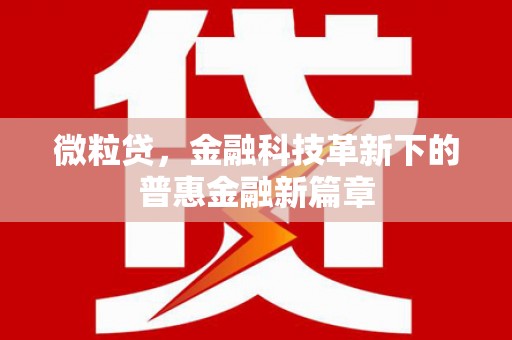 滨海微粒贷，金融科技革新下的普惠金融新篇章