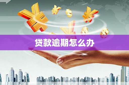 滨海贷款逾期怎么办