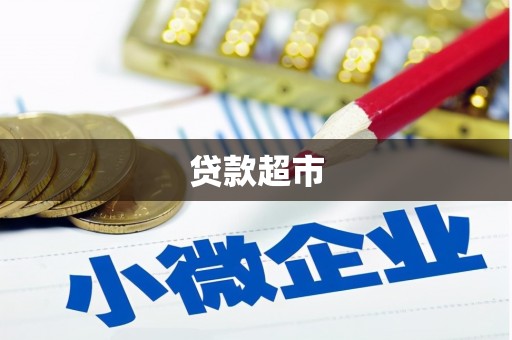滨海贷款超市