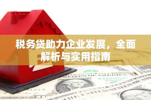 滨海税务贷助力企业发展，全面解析与实用指南