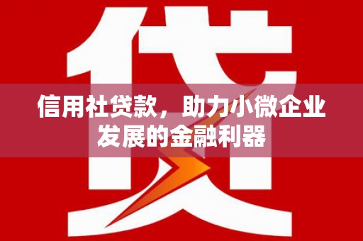 滨海信用社贷款，助力小微企业发展的金融利器