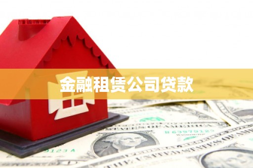 滨海金融租赁公司贷款