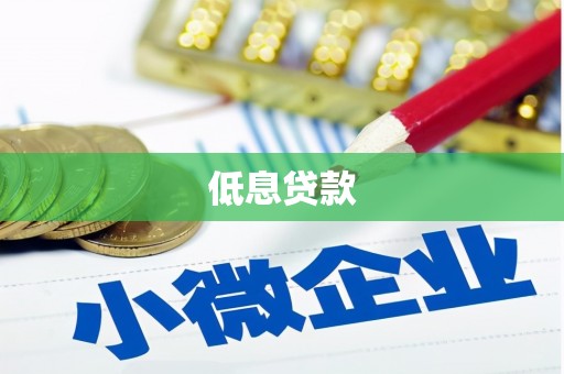 滨海低息贷款