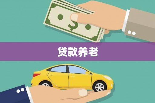 滨海贷款养老