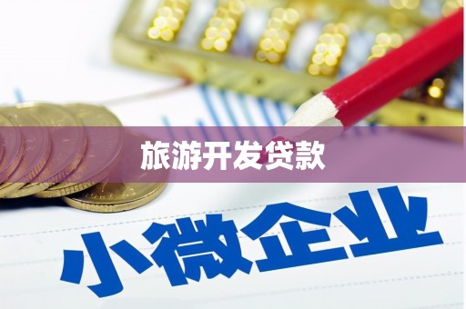 滨海旅游开发贷款