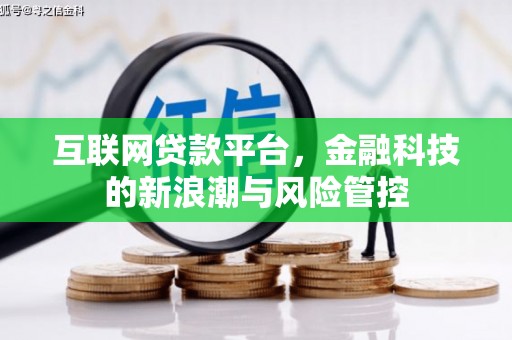 滨海互联网贷款平台，金融科技的新浪潮与风险管控
