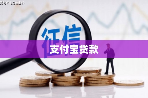 滨海支付宝贷款