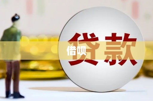 滨海借呗