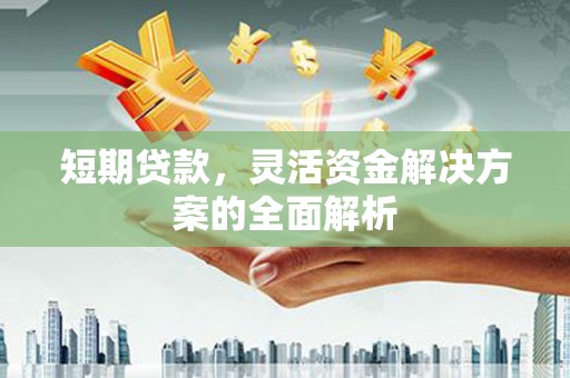 滨海短期贷款，灵活资金解决方案的全面解析