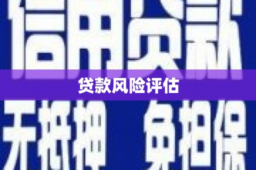 滨海贷款风险评估
